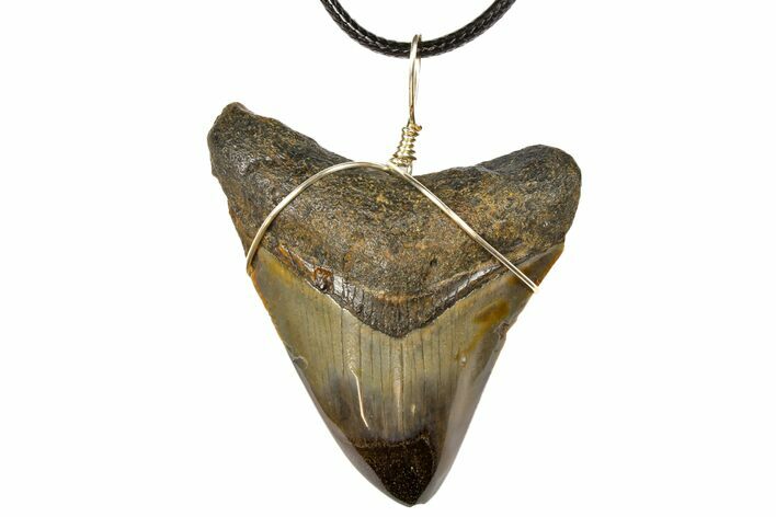 Fossil Megalodon Tooth Necklace #130932
